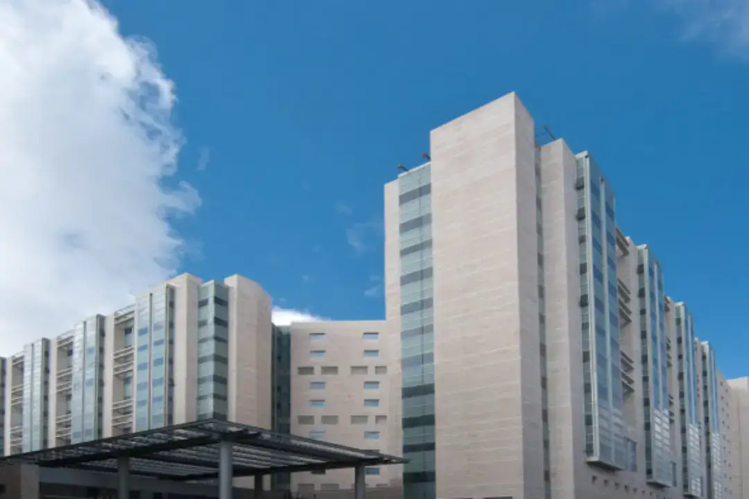 Screenline Hadassah Hospital - Israel 01